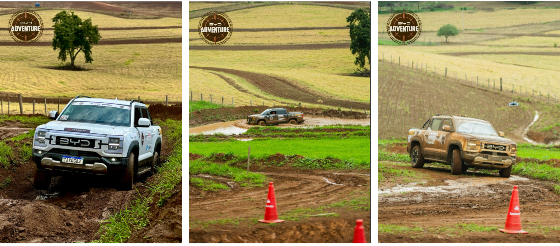 Design sem nome (23).png