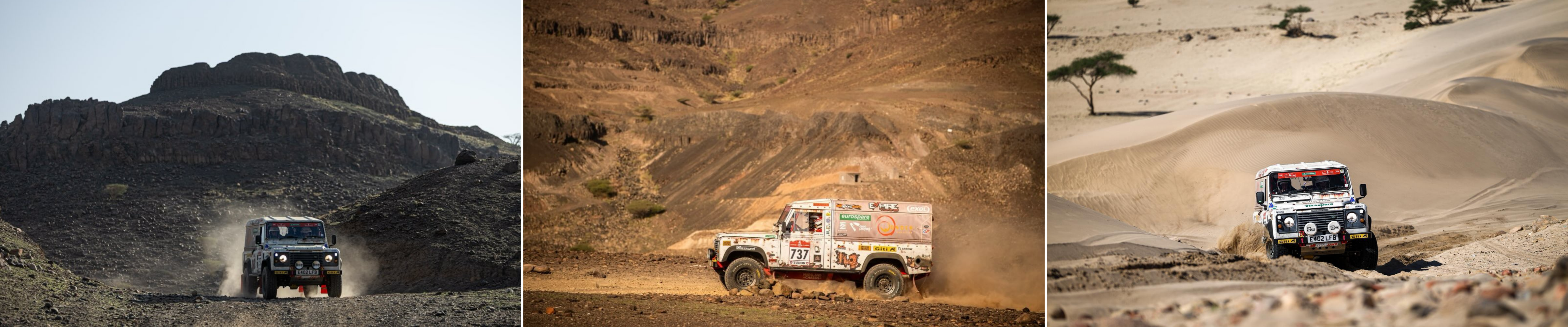 Untitled design (9).png