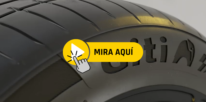 Sem nome (350 x 300 px) (664 x 331 px) (1).png