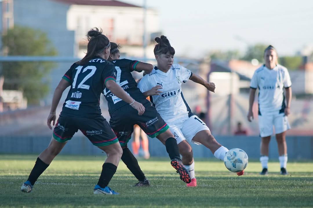 WhatsApp Image 2025-02-28 at 13.47.48.jpeg