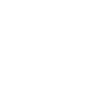 tire outline