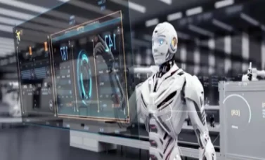 section-3-sub-3-content-sub-section-2-video-img