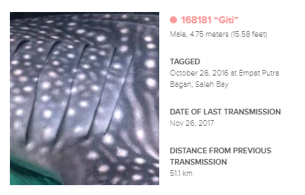 Giti_Tire_佳通轮胎_newsdetail_6117_201712221352355